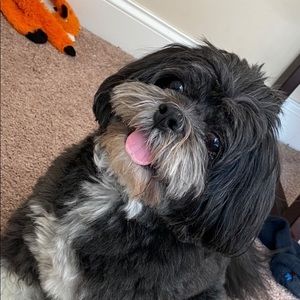 Meet your Posher, Thaddeus